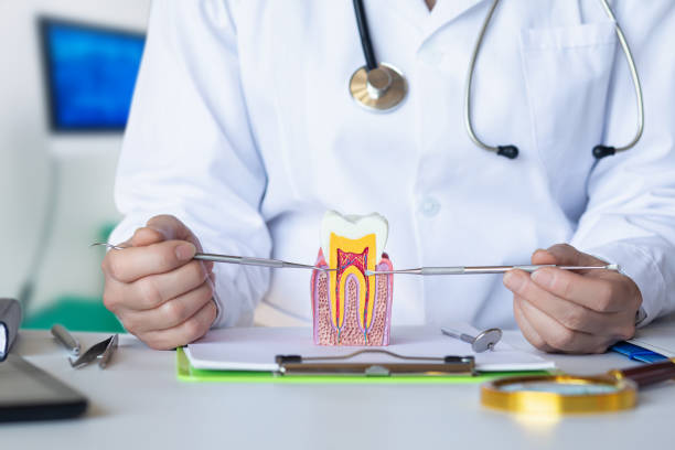 Best Emergency Treatment for Dental Infections or Abscesses in Newcastle, WY
